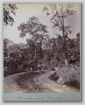() Eisenbahn nach Darjeeling (leegallery.com :SAMUEL BOURNE 'On the Darjeeling Railway, Nepal' ca. 1860's, albumen print, ca. 1860s, World Heritage Site status in 1999)